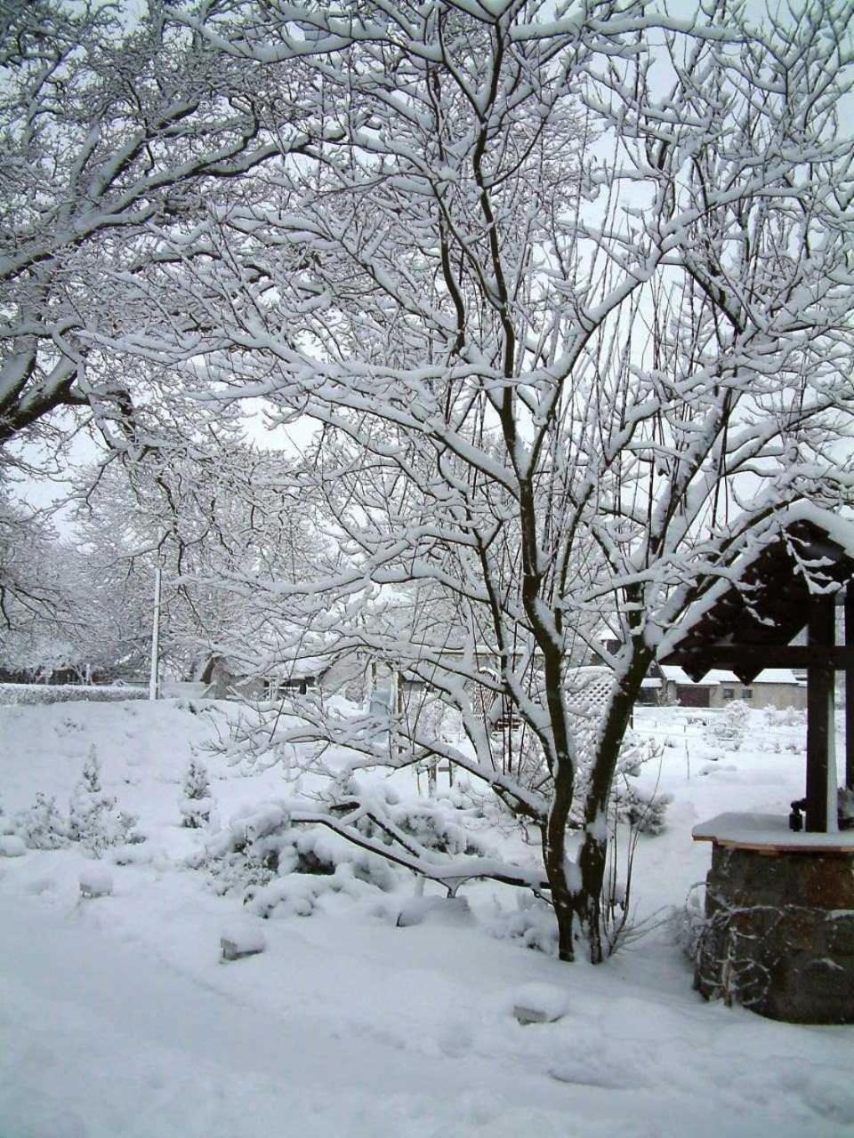 דירות Bodstedt Haus Jasmin מראה חיצוני תמונה