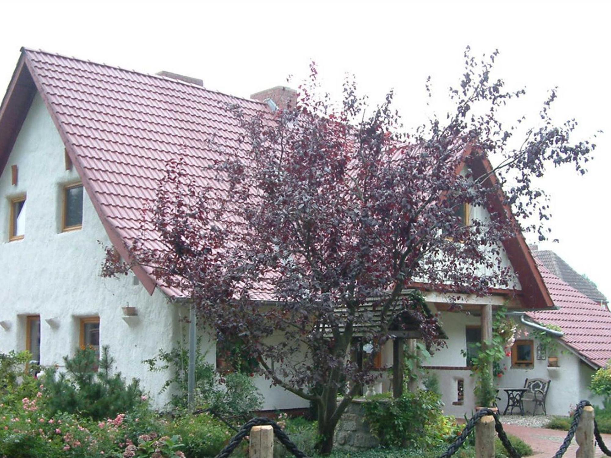 דירות Bodstedt Haus Jasmin מראה חיצוני תמונה